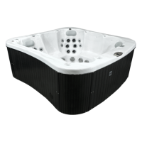 Спа бассейн Coyote Spa Tucson